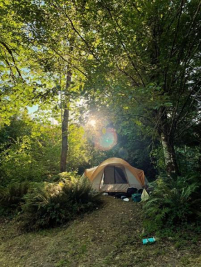 Acampamento na barraca Sagrada Natureza